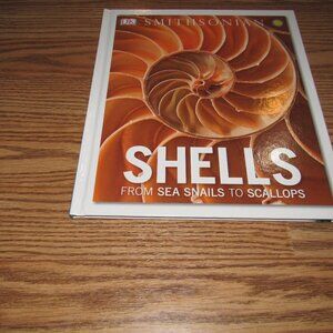 “SHELLS From Sea Shells to Scallops” DK Smithsonian Hardcover Kids Picture Book